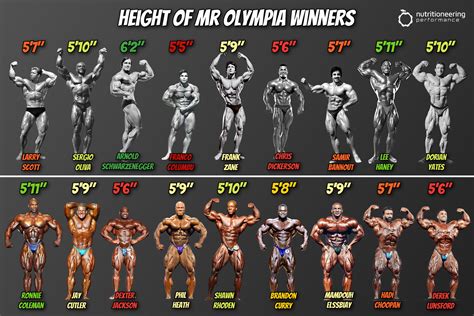 mr olympia height|bodybuilder height weight chart.